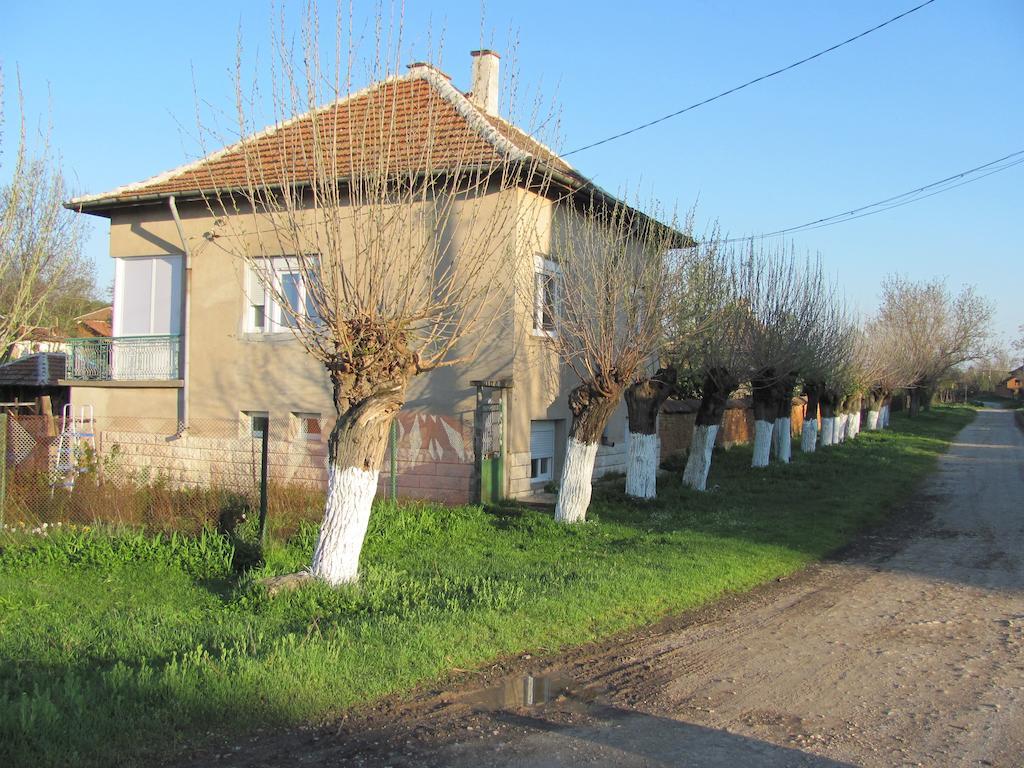 Rogozen B&B Εξωτερικό φωτογραφία
