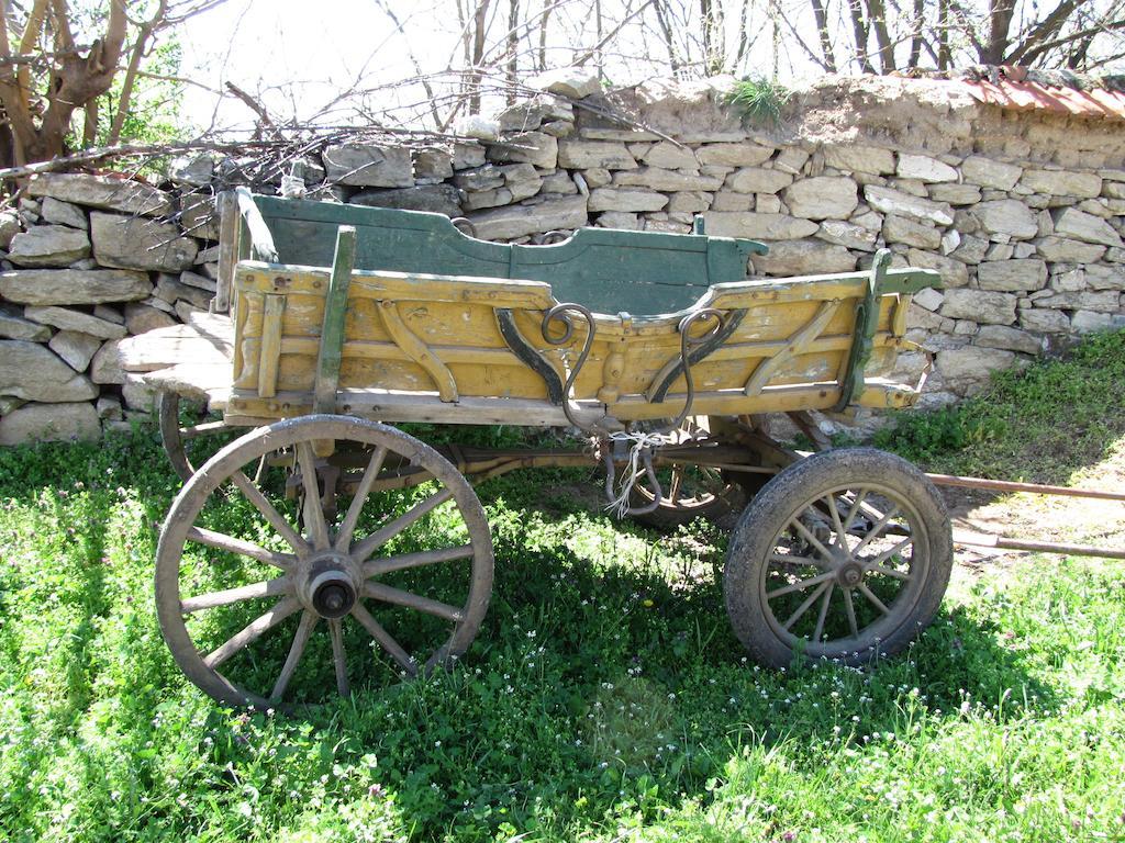 Rogozen B&B Εξωτερικό φωτογραφία