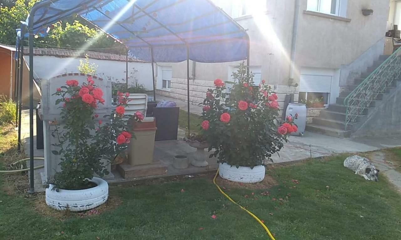 Rogozen B&B Εξωτερικό φωτογραφία